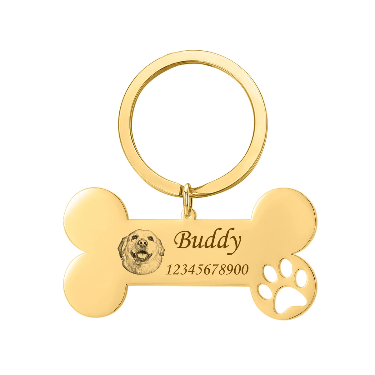 New Cat Dog ID Tag Custom Free Engraving Personalized Dog Collar Pet Charm Name Pendant Bone Necklace Collar Puppy DIY Keychain